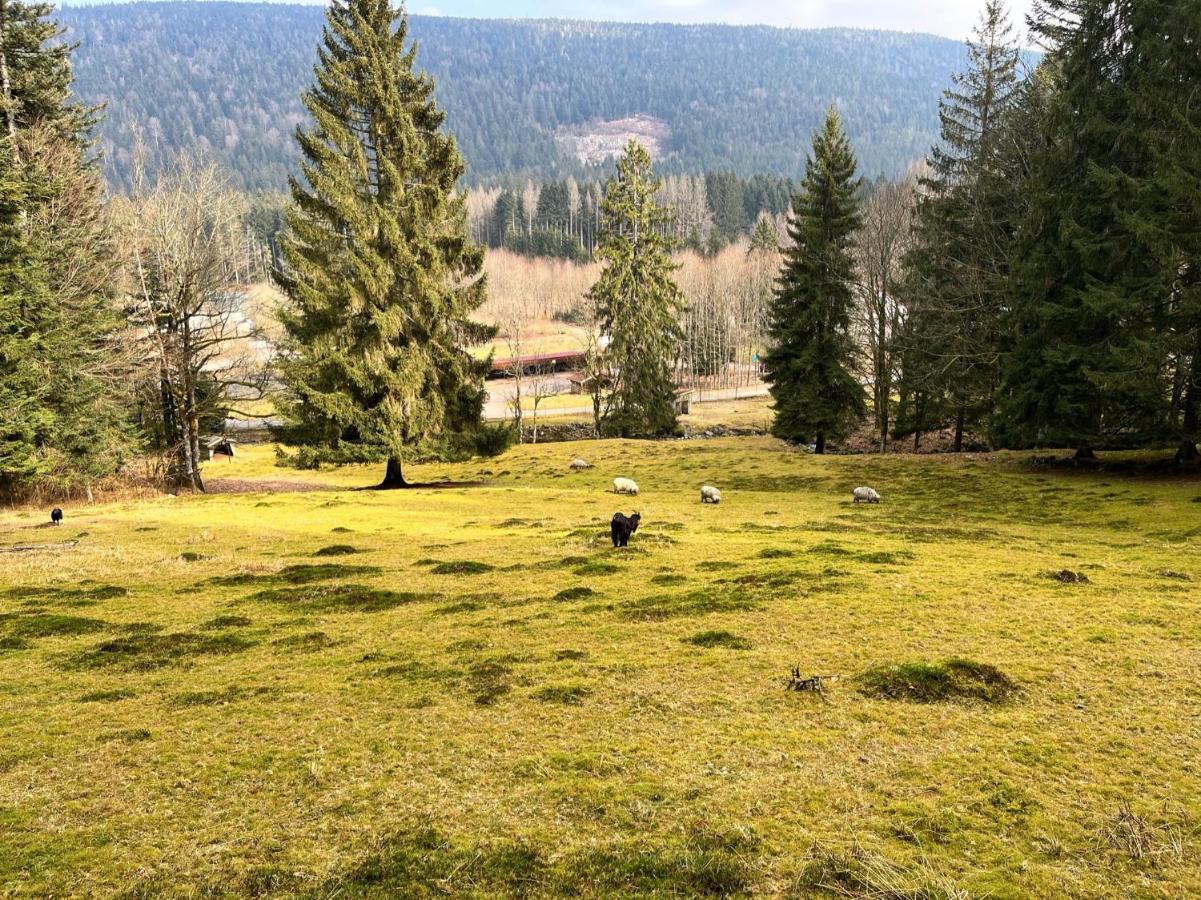 Ferme Des Jonquilles 15P - Billard, Ps4, Salle De Sport Gérardmer Exteriér fotografie