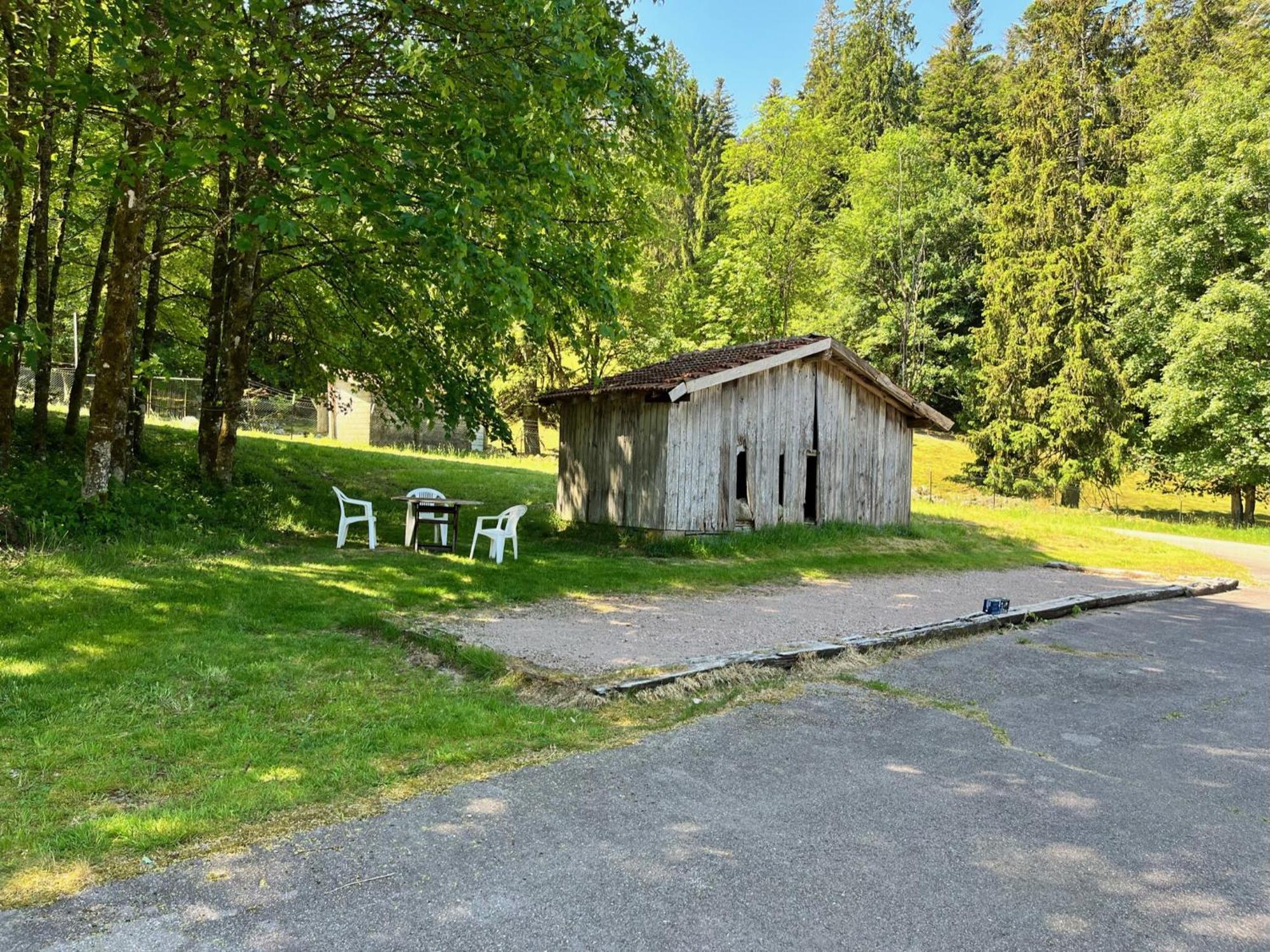 Ferme Des Jonquilles 15P - Billard, Ps4, Salle De Sport Gérardmer Exteriér fotografie